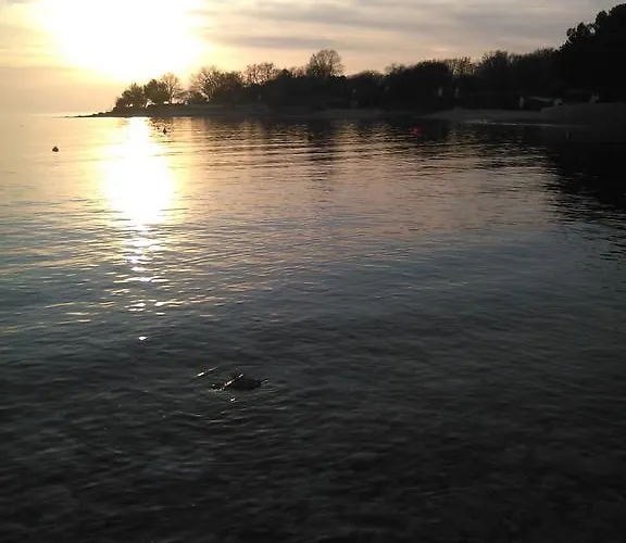 Ljubic Tar-Vabriga