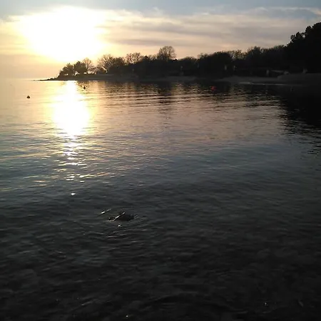 Ljubic Tar-Vabriga